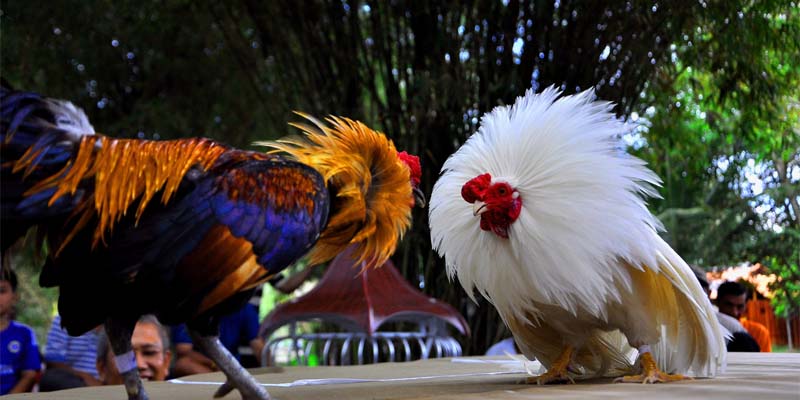 Giao dịch an toàn cũng như xử lý nhanh chóng